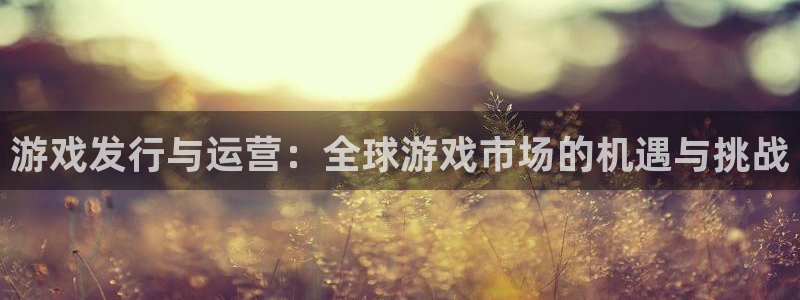 usdt官网下载安装：游戏发行与运营：全球游戏市场的机遇与挑战