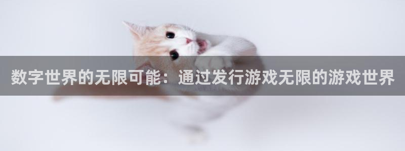 usdt分几种：数字世界的无限可能：通过发行游戏无限的游戏世界