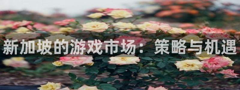 usdt钱包交易：新加坡的游戏市场：策略与机遇