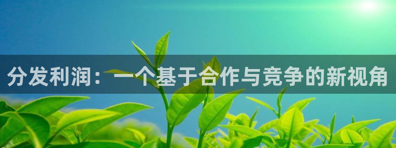 usdt如何下载：分发利润：一个基于合作与竞争的新视角