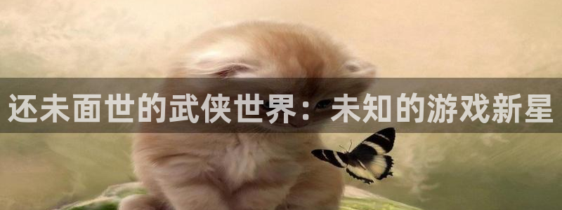 usdt怎么充值到个人账户：还未面世的武侠世界：未知的游戏新星