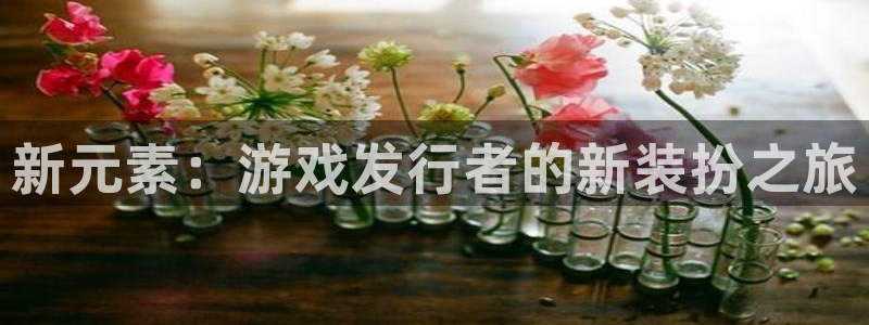 注册usdt钱包能查到注册人吗：新元素：游戏发行者的新装扮之旅