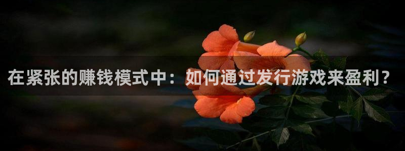 usdt余额不足：在紧张的赚钱模式中：如何通过发行游戏来盈利？