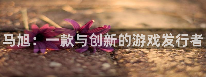 usdt数字钱包下载：马旭：一款与创新的游戏发行者
