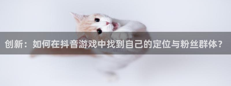 usdt怎么开户：创新：如何在抖音游戏中找到自己的定位与粉丝群体？