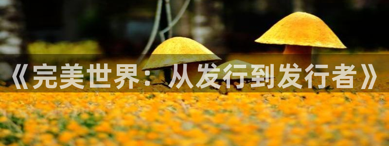 usdt变少：《完美世界：从发行到发行者》