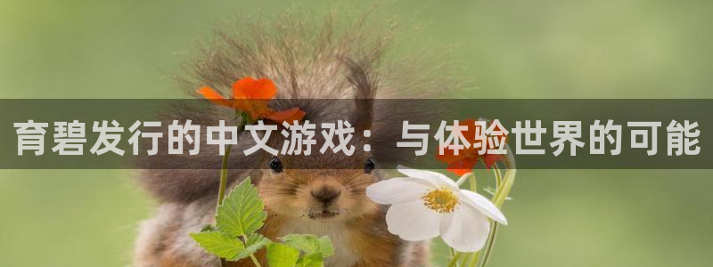 usdt钱包地址有几种：育碧发行的中文游戏：与体验世界的可能