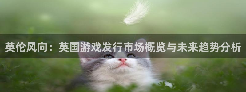 usdt钱包如何下载