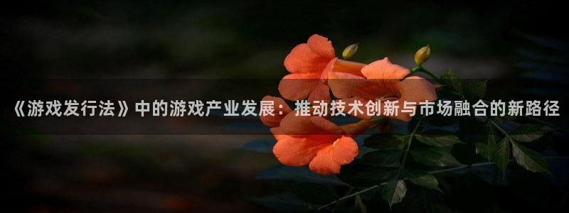 怎么把usdt提现到钱包